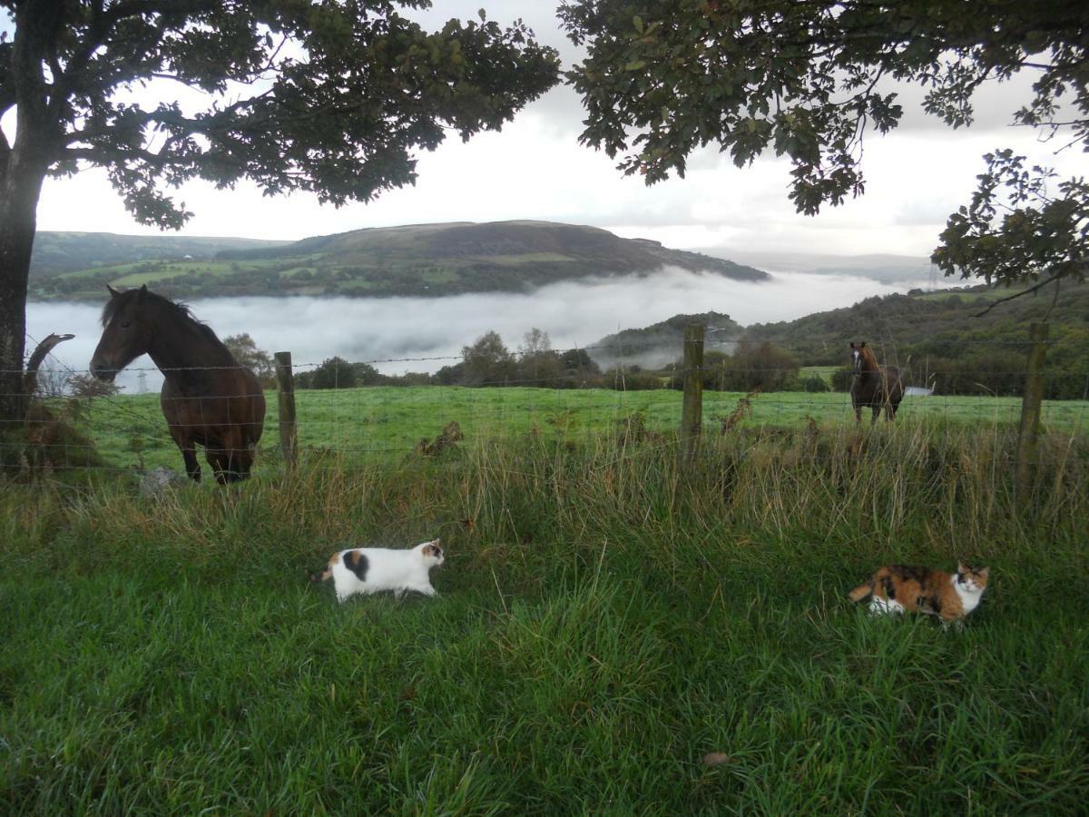 1 Tan Yr Eglwys Barn Cottage Pontardawe Kültér fotó