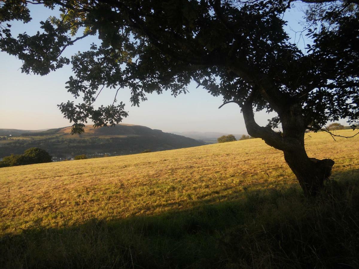 1 Tan Yr Eglwys Barn Cottage Pontardawe Kültér fotó